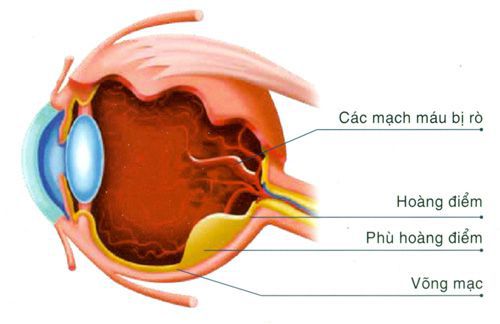 phù hoàng điểm